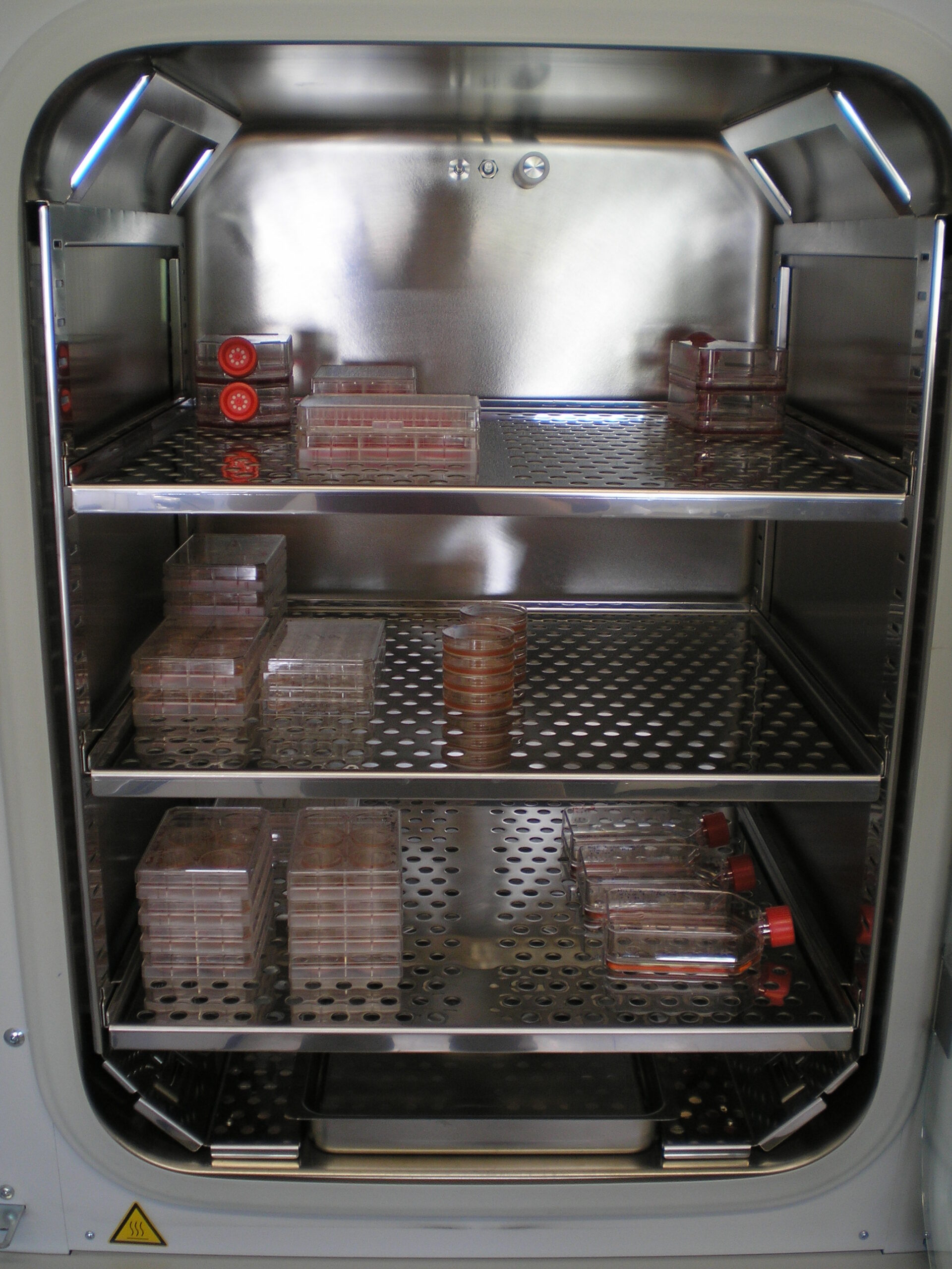 The interior of a carbon dioxide incubator used for cell culture.