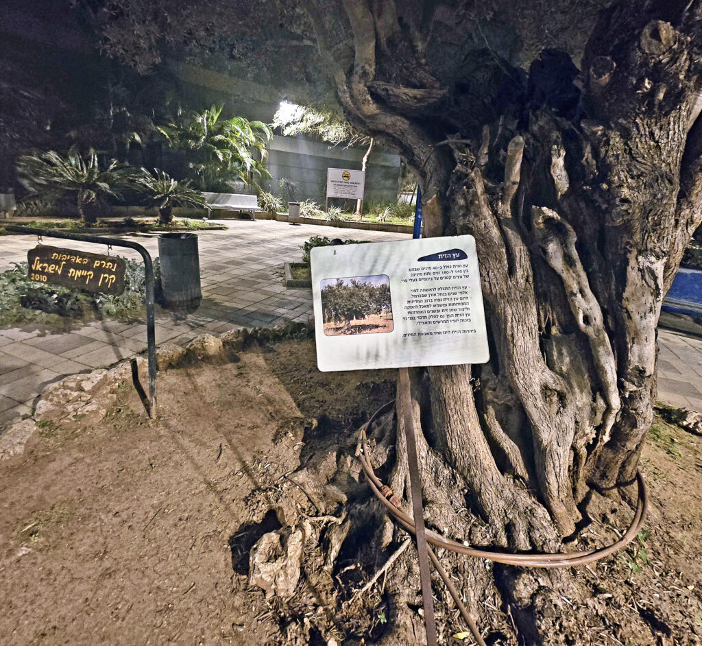 A square within the Sheba Medical Center hospital complex in Israel