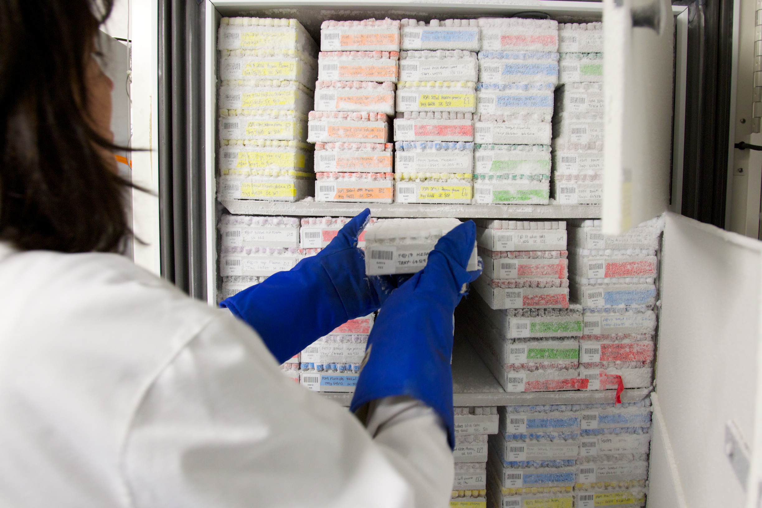 Boxes of labelled biological samples stored in a research freezer