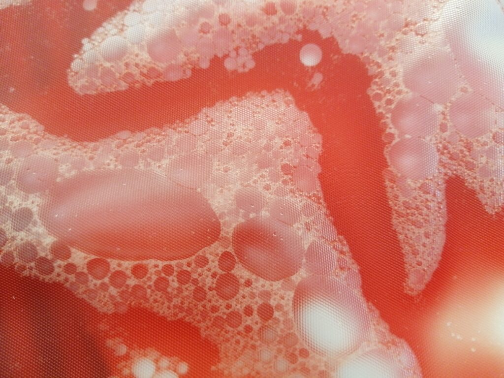 A stem cell laboratory at the Antonio e Biagio e Cesare Arrigo hospital in Alessandria, Italy