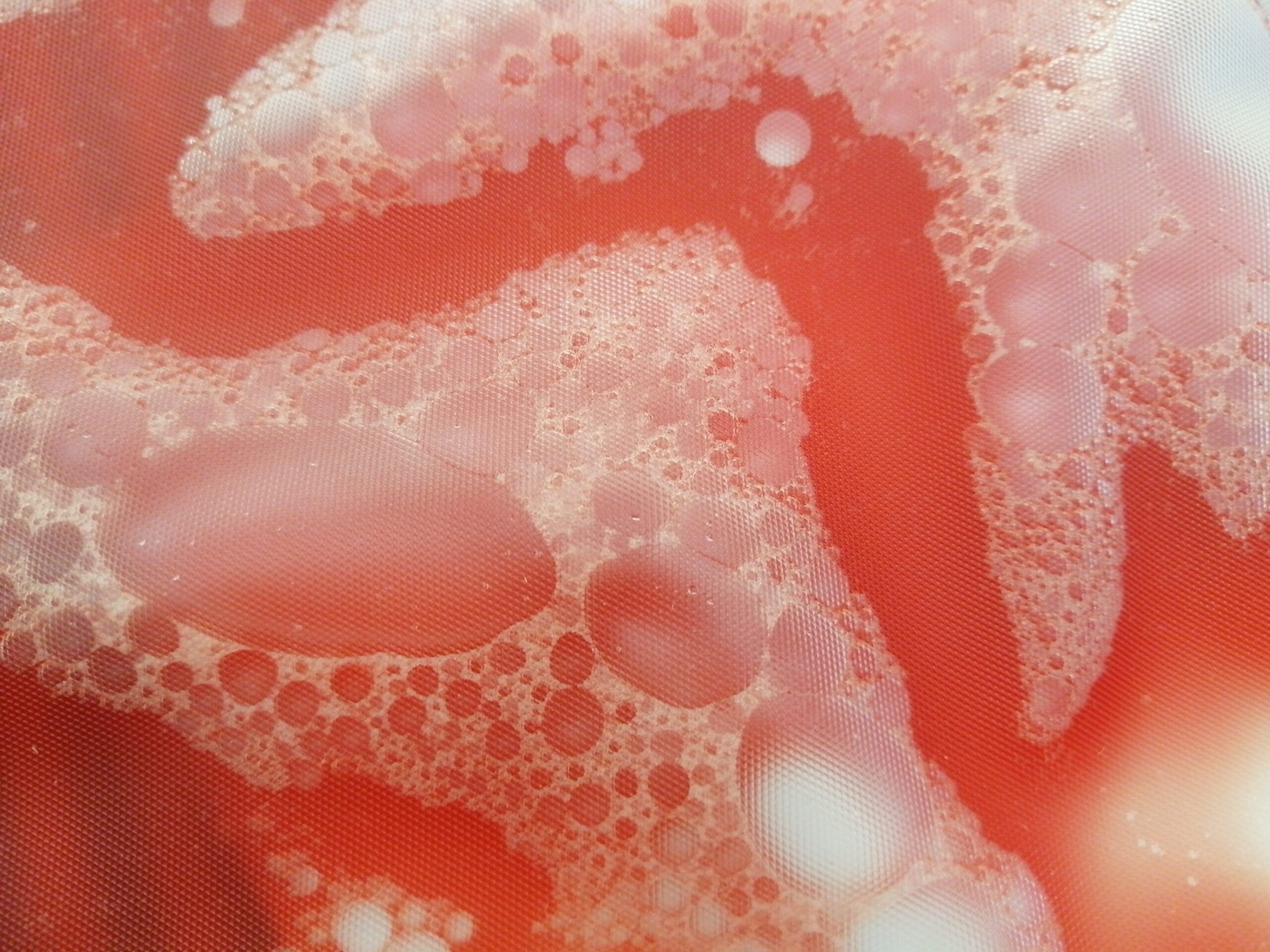 A stem cell laboratory at the Antonio e Biagio e Cesare Arrigo hospital in Alessandria, Italy